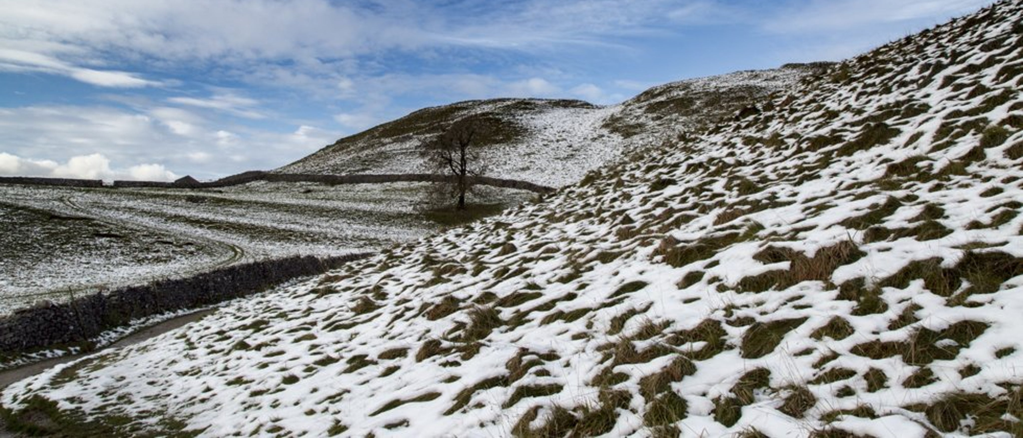 North Yorkshire Snowy feature